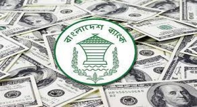 ২৬ দিনে প্রবাসীরা পাঠালেন ১৭৭ কোটি ডলার